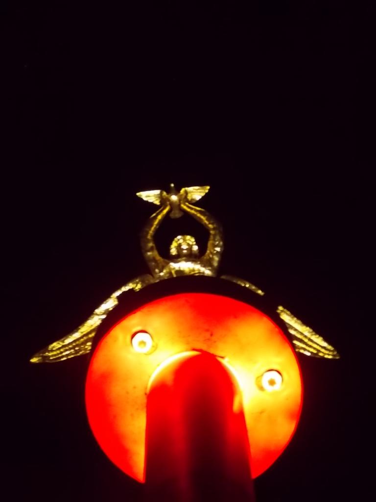 DSCN4569
